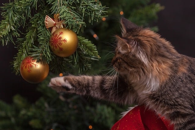 Keep pets away from holiday decor